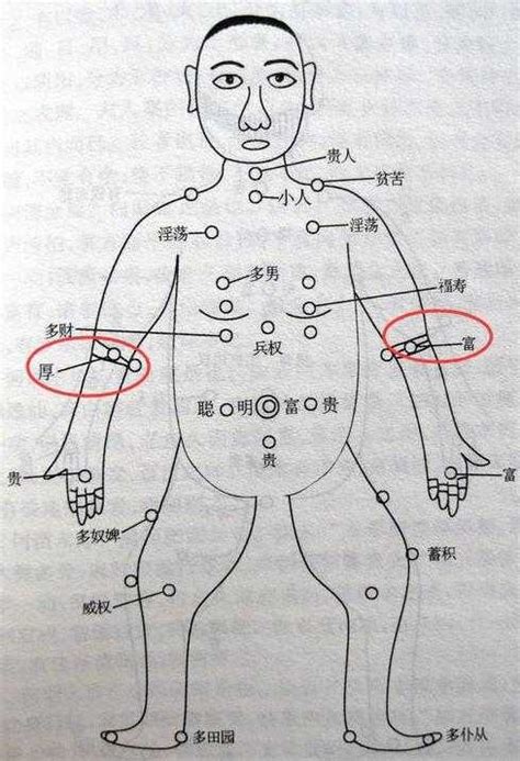 肚有痣|痣与命运的关系之腹部痣相图解大全